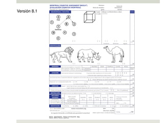 Comprehensive Overview of the Montreal Cognitive Assessment (MoCA) Test