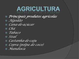  Principais produtos agrícolas
 Algodão
 Cana-de-açúcar
 Chá
 Tabaco
 Sisal
 Castanha-de-caju
 Copra (polpa do coco)
 Mandioca
 
