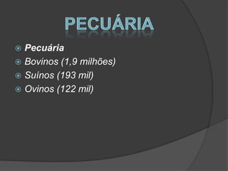  Pecuária
 Bovinos (1,9 milhões)
 Suínos (193 mil)
 Ovinos (122 mil)
 