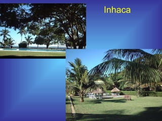 Inhaca 