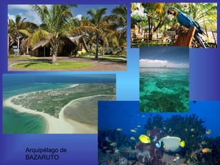 Arquipélago de BAZARUTO  