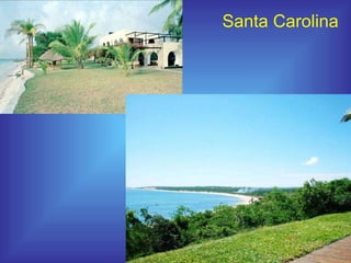 Santa Carolina 