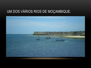 UM DOS VÁRIOS RIOS DE MOÇAMBIQUE.
 