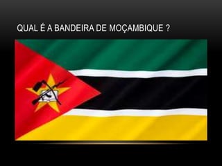 QUAL É A BANDEIRA DE MOÇAMBIQUE ?
 