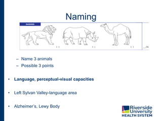 Naming
– Name 3 animals
– Possible 3 points
• Language, perceptual-visual capacities
• Left Sylvan Valley-language area
• Alzheimer’s, Lewy Body
 