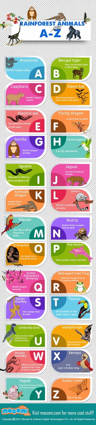List of A-Z Rainforest Animals for Kids - Mocomi.com