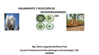 AISLAMIENTO Y SELECCIÓN DE
MICROORGANISMOS
CELULOLÍTICOS
Mg. Elena Luzgarda Quillama Polo
Escuela Profesional de Microbiología y Parasitología, FCB-
UNMSM
 