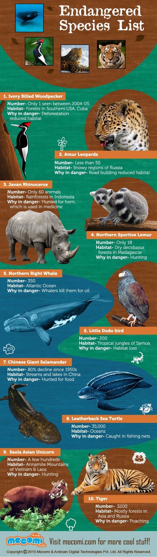 World's Top 10 Endangered Species List- General Knowledge for Kids