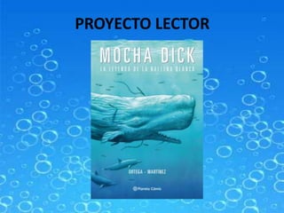 PROYECTO LECTOR
 