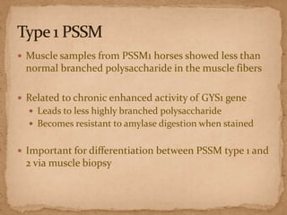  Muscle samples from PSSM1 horses showed less than

normal branched polysaccharide in the muscle fibers
 Related to chronic enhanced activity of GYS1 gene
 Leads to less highly branched polysaccharide

 Becomes resistant to amylase digestion when stained

 Important for differentiation between PSSM type 1 and

2 via muscle biopsy

 