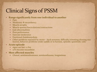  Range significantly from one individual to another
 Pain
 Weakness  recumbency
 Muscle atrophy
 Muscle spasms/fasciculations/contractions
 Gait abnormalities
 Poor performance
 Exercise intolerance
 Exertional rhabdomyolysis
 Other problems reported by owner – back soreness, difficulty trimming/shoeing rear
hooves, behavior problems under saddle or in harness, episodic spasmodic colic
 Acute episode
 signs can last >2 hrs
 10% become recumbent
 Most affected muscles
 Gluteal, semimembranosus, semitendinosus, longissimus

 