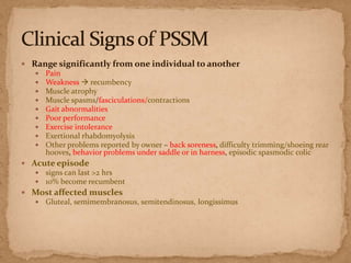  Range significantly from one individual to another
 Pain
 Weakness  recumbency
 Muscle atrophy
 Muscle spasms/fasciculations/contractions
 Gait abnormalities
 Poor performance
 Exercise intolerance
 Exertional rhabdomyolysis
 Other problems reported by owner – back soreness, difficulty trimming/shoeing rear
hooves, behavior problems under saddle or in harness, episodic spasmodic colic
 Acute episode
 signs can last >2 hrs
 10% become recumbent
 Most affected muscles
 Gluteal, semimembranosus, semitendinosus, longissimus

 