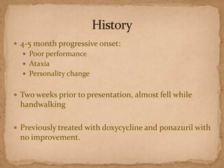  4-5 month progressive onset:
 Poor performance
 Ataxia
 Personality change

 Two weeks prior to presentation, almost fell while

handwalking
 Previously treated with doxycycline and ponazuril with

no improvement.

 