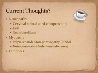  Neuropathy

 Cervical spinal cord compression
 EPM
 Neuroborelliosis
 Myopathy
 Polysaccharide Storage Myopathy (PSSM)
 Nutritional (Vit E/Selenium deficiency)

 Lameness

 