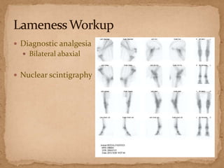  Diagnostic analgesia
 Bilateral abaxial

 Nuclear scintigraphy

 