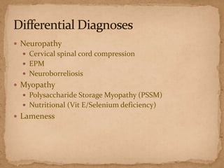  Neuropathy
 Cervical spinal cord compression
 EPM
 Neuroborreliosis

 Myopathy
 Polysaccharide Storage Myopathy (PSSM)
 Nutritional (Vit E/Selenium deficiency)

 Lameness

 