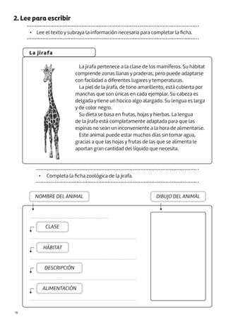 |76
2. Lee para escribir
• Lee el texto y subraya la información necesaria para completar la ficha.
La jirafa
La jirafa pertenece a la clase de los mamíferos. Su hábitat
comprende zonas llanas y praderas, pero puede adaptarse
con facilidad a diferentes lugares y temperaturas.
La piel de la jirafa, de tono amarillento, está cubierta por
manchas que son únicas en cada ejemplar. Su cabeza es
delgada y tiene un hocico algo alargado. Su lengua es larga
y de color negro.
Su dieta se basa en frutas, hojas y hierbas. La lengua
de la jirafa está completamente adaptada para que las
espinas no sean un inconveniente a la hora de alimentarse.
Este animal puede estar muchos días sin tomar agua,
gracias a que las hojas y frutas de las que se alimenta le
aportan gran cantidad del líquido que necesita.
• Completa la ficha zoológica de la jirafa.
NOMBRE DEL ANIMAL
CLASE
HÁBITAT
DESCRIPCIÓN
ALIMENTACIÓN
DIBUJO DEL ANIMAL
.....................................................................
.............................................................................................
.............................................................................................
.............................................................................................
.............................................................................................
 