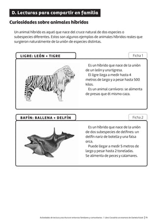 Actividades de lectura y escritura en entornos familiares y comunitarios / Libro Cocodrilo se enamora de Daniela Kulot |79
D. Lecturas para compartir en familia
Curiosidades sobre animales híbridos
Un animal híbrido es aquel que nace del cruce natural de dos especies o
subespecies diferentes. Estos son algunos ejemplos de animales híbridos reales que
surgieron naturalmente de la unión de especies distintas.
LIGRE: LEÓN + TIGRE
BAFÍN: BALLENA + DELFÍN
Ficha 1
Ficha 2
Es un híbrido que nace de la unión
de un león y una tigresa.
El ligre llega a medir hasta 4
metros de largo y a pesar hasta 500
kilos.
Es un animal carnívoro: se alimenta
de presas que él mismo caza.
Es un híbrido que nace de la unión
de dos subespecies de delfines: un
delfín nariz de botella y una falsa
orca.
Puede llegar a medir 5 metros de
largo y pesar hasta 2 toneladas.
Se alimenta de peces y calamares.
 