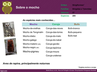 Ordem Strigiformes* 
Famílias Strigidae e Tytonidae 
Géneros 27 
Espécies 205 
As espécies mais conhecidas… 
Bertel Bruun, et al., Aves de Portugal e Europa / Encyclopedia Portugueza Illustrada 
Sobre o mocho 
Mocho Coruja Bufo 
Mocho-de-orelhas Coruja-das-neves Bufo-branco 
Mocho de Tengmalm Coruja-das-torres Bufo-pequeno 
Mocho-diabo Coruja-do-mato Bufo-real 
Mocho-galego Coruja-do-nabal 
Mocho-mateiro (BR) Coruja-gavião 
Mocho-negro (BR) Coruja-lapónica 
Mocho-pigmeu Coruja-moura 
Coruja-uralense 
Aves de rapina, principalmente noturnas 
* Engloba mochos e corujas 
 