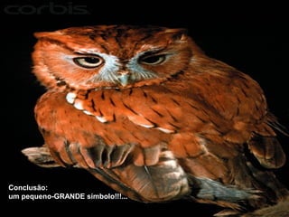 Conclusão: 
um pequeno-GRANDE símbolo!!!... 
 