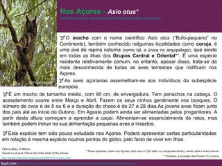 Nos Açores - Asio otus* 
O mocho com o nome científico Asio otus (“Bufo-pequeno” no 
Continente), também conhecido nalgumas localidades como coruja, é 
uma ave de rapina noturna (como tal, a única no arquipélago), que existe 
em todas as ilhas dos Grupos Central e Oriental**. É uma espécie 
residente relativamente comum, no entanto, apesar disso, trata-se da 
mais desconhecida de todas as aves terrestres que nidificam nos 
Açores. 
É um mocho de tamanho médio, com 90 cm. de envergadura. Tem penachos na cabeça. O 
acasalamento ocorre entre Março e Abril. Fazem os seus ninhos geralmente nos bosques. O 
número de ovos é de 5 ou 6 e a duração do choco é de 27 a 28 dias.As jovens aves ficam junto 
dos pais até ao início do Outono. Em Agosto podem ainda ser alimentadas pelos progenitores. A 
partir desta altura começam a aprender a caçar. Alimentam-se essencialmente de ratos, mas 
também podem incluir na sua alimentação pequenas aves e insectos. 
Esta espécie tem sido pouco estudada nos Açores. Poderá apresentar certas particularidades 
em relação à mesma espécie noutros pontos do globo, pelo facto de viver em ilhas. 
Fátima Melo, O Môcho 
http://terralivreacores.blogspot.pt/2008/07/o-mocho.html 
http://avesdosazores.wordpress.com/aves-dos-acores/especies-terrestresnao-passeriformes/bufo-pequeno/ 
** Portanto, à exceção das Flores (?) e Corvo. 
http://www.azores.gov.pt/Gra/srrn-cets/conteudos/livres/Bufo-pequeno.htm 
As aves açorianas assemelham-se aos indivíduos da subespécie 
europeia. 
Gérald Le Grand, Check list of the birds of the Azores 
* Duas espécies vivem nos Açores (Asio otus e Tyto alba ou coruja-das-torres), sendo esta a mais comum. 
 