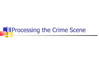 Processing the Crime Scene 