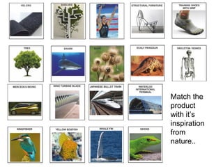 Match the
product
with it’s
inspiration
from
nature..
 