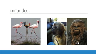 Imitando...
 