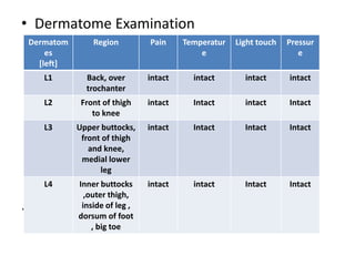 • Dermatome Examination
.
Dermatom
es
[left]
Region Pain Temperatur
e
Light touch Pressur
e
L1 Back, over
trochanter
intact intact intact intact
L2 Front of thigh
to knee
intact Intact intact Intact
L3 Upper buttocks,
front of thigh
and knee,
medial lower
leg
intact Intact Intact Intact
L4 Inner buttocks
,outer thigh,
inside of leg ,
dorsum of foot
, big toe
intact intact Intact Intact
 
