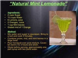 “ Natural Mint Lemonade”   Ingredients: 2 cups Sugar  1½ cups Water  6 Lemons, juice  2 Oranges, Juice  1 cup Mint leaves  Grated rind of 1 Orange   Method: Mix water and sugar in saucepan. Bring to a boil and cook 5 minutes.  Combine juices, rind, and mint leaves in a large bowl.  Pour hot liquid over juice mixture. Cover; let stand 2 to 3 hours and strain.  Dilute before serving, approximately one part syrup with two parts water. 