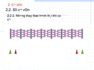2. C¬ v©n
2.2. Sîi c¬ v©n
2.2.2. Nh÷ng thay ®æi h×nh th¸i khi co
c¬
C¬ co
C¬
nghØ
C¬ gi·n
 