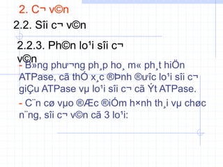2. C¬ v©n
2.2. Sîi c¬ v©n
2.2.3. Ph©n lo¹i sîi c¬
v©n
- B»ng phư¬ng ph¸p ho¸ m« ph¸t hiÖn
ATPase, cã thÓ x¸c ®Þnh ®ưîc lo¹i sîi c¬
giÇu ATPase vµ lo¹i sîi c¬ cã Ýt ATPase.
- C¨n cø vµo ®Æc ®iÓm h×nh th¸i vµ chøc
n¨ng, sîi c¬ v©n cã 3 lo¹i:
 