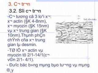 3. C¬ tr¬n
-C¬ tương cã 3 lo¹i x¬:
x¬ actin (§K 4-8nm),
x¬ myozin (§K 15nm)
vµ x¬ trung gian (§K
10nm).Thµnh phÇn
chÝnh cña x¬ trung
gian lµ desmin.
-TØ lÖ x¬ actin vµ
myozin tõ 2/1-14/1(c¬
v©n 2/1- 4/1).
3.2. Sîi c¬ tr¬n
ThÓ, tÊm ®Æc
T¬
c¬
- Đưîc bäc b»ng mµng bµo tư¬ng vµ mµng
®¸y
 