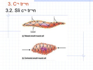 3. C¬ tr¬n
3.2. Sîi c¬ tr¬n
 