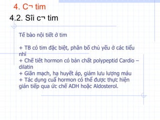 4. C¬ tim
4.2. Sîi c¬ tim
Tế bào nội tiết ở tim
+ TB có tim đặc biệt, phân bố chủ yếu ở các tiểu
nhĩ
+ Chế tiêt hormon có bản chất polypeptid Cardio –
dilatin
+ Giãn mạch, hạ huyết áp, giảm lưu lượng máu
+ Tác dụng cuẩ hormon có thể được thực hiện
gián tiếp qua ức chế ADH hoặc Aldosterol.
 