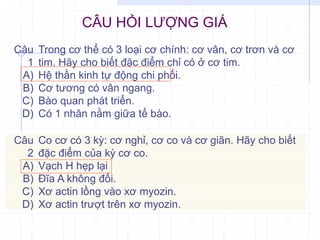CÂU HỎI LƯỢNG GIÁ
Câu
1
Trong cơ thể có 3 loại cơ chính: cơ vân, cơ trơn và cơ
tim. Hãy cho biết đặc điểm chỉ có ở cơ tim.
A) Hệ thần kinh tự động chi phối.
B) Cơ tương có vân ngang.
C) Bào quan phát triển.
D) Có 1 nhân nằm giữa tế bào.
Câu
2
Co cơ có 3 kỳ: cơ nghỉ, cơ co và cơ giãn. Hãy cho biết
đặc điểm của kỳ cơ co.
A) Vạch H hẹp lại
B) Đĩa A không đổi.
C) Xơ actin lồng vào xơ myozin.
D) Xơ actin trượt trên xơ myozin.
 