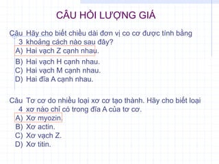 Câu
4
Tơ cơ do nhiều loại xơ cơ tạo thành. Hãy cho biết loại
xơ nào chỉ có trong đĩa A của tơ cơ.
A) Xơ myozin.
B) Xơ actin.
C) Xơ vạch Z.
D) Xơ titin.
Câu
3
Hãy cho biết chiều dài đơn vị co cơ được tính bằng
khoảng cách nào sau đây?
A) Hai vạch Z cạnh nhau.
B) Hai vạch H cạnh nhau.
C) Hai vạch M cạnh nhau.
D) Hai đĩa A cạnh nhau.
CÂU HỎI LƯỢNG GIÁ
 