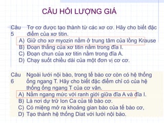 CÂU HỎI LƯỢNG GIÁ
Câu
5
Tơ cơ được tạo thành từ các xơ cơ. Hãy cho biết đặc
điểm của xơ titin.
A) Giữ cho xơ myozin nằm ở trung tâm của lồng Krause
B) Đoạn thẳng của xơ titin nằm trong đĩa I.
C) Đoạn chun của xơ titin nằm trong đĩa A.
D) Chạy suốt chiều dài của một đơn vị cơ cơ.
Câu
6
Ngoài lưới nội bào, trong tế bào cơ còn có hệ thống
ống ngang T. Hãy cho biết đặc điểm chỉ có của hệ
thống ống ngang T của cơ vân.
A) Nằm ngang mức với ranh giới giữa đĩa A và đĩa I.
B) Là nơi dự trữ Ion Ca của tế bào cơ.
C) Có miệng mở ra khoảng gian bào của tế bào cơ,
D) Tạo thành hệ thống Diat với lưới nội bào.
 