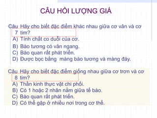 Câu
7
Hãy cho biết đặc điểm khác nhau giữa cơ vân và cơ
tim?
A) Tính chất co duỗi của cơ.
B) Bào tương có vân ngang.
C) Bào quan rất phát triển.
D) Được bọc bằng màng bào tương và màng đáy.
CÂU HỎI LƯỢNG GIÁ
Câu
8
Hãy cho biết đặc điểm giống nhau giữa cơ trơn và cơ
tim?
A) Thần kinh thực vật chi phối.
B) Có 1 hoặc 2 nhân nằm giữa tế bào.
C) Bào quan rất phát triển.
D) Có thể gặp ở nhiều nơi trong cơ thể.
 