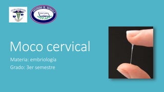 Moco cervical
Materia: embriología
Grado: 3er semestre
 