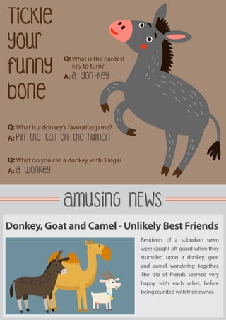 Tickle
your
funny
bone
AMUSING NEWS
Residents of a suburban town
were caught off guard when they
stumbled upon a donkey, goat
and camel wandering together.
The trio of friends seemed very
happy with each other, before
being reunited with their owner.
Donkey, Goat and Camel - Unlikely Best Friends
Q: What is the hardest
key to turn?
A: A don-key
Q: What is a donkey's favourite game?
A: Pin the tail on the human
Q: What do you call a donkey with 3 legs?
A: A wonkey
 