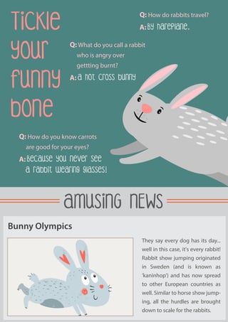 Tickle
your
funny
bone
Q: How do rabbits travel?
A: By hareplane.
AMUSING NEWS
They say every dog has its day...
well in this case, it's every rabbit!
Rabbit show jumping originated
in Sweden (and is known as
'kaninhop') and has now spread
to other European countries as
well. Similar to horse show jump-
ing, all the hurdles are brought
down to scale for the rabbits.
Bunny Olympics
Q: How do you know carrots
are good for your eyes?
A: Because you never see
a rabbit wearing glasses!
Q: What do you call a rabbit
who is angry over
gettting burnt?
A: A hot cross bunny
 