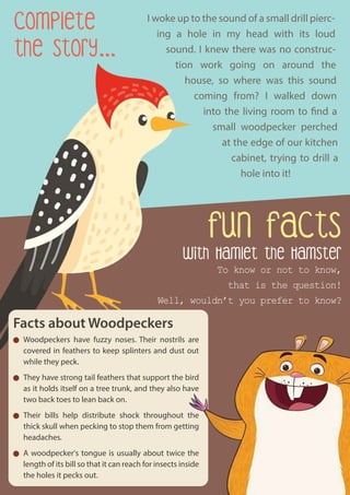 with Hamlet the Hamster
To know or not to know,
that is the question!
Well, wouldn’t you prefer to know?
fun facts
Complete
the Story...
I woke up to the sound of a small drill pierc-
ing a hole in my head with its loud
sound. I knew there was no construc-
tion work going on around the
house, so where was this sound
coming from? I walked down
into the living room to find a
small woodpecker perched
at the edge of our kitchen
cabinet, trying to drill a
hole into it!
Facts about Woodpeckers
Woodpeckers have fuzzy noses. Their nostrils are
covered in feathers to keep splinters and dust out
while they peck.
They have strong tail feathers that support the bird
as it holds itself on a tree trunk, and they also have
two back toes to lean back on.
Their bills help distribute shock throughout the
thick skull when pecking to stop them from getting
headaches.
A woodpecker's tongue is usually about twice the
length of its bill so that it can reach for insects inside
the holes it pecks out.
 
