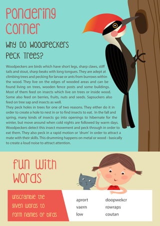 Woodpeckers are birds which have short legs, sharp claws, stiff
tails and stout, sharp beaks with long tongues. They are adept at
climbing trees and pecking for larvae or ants from burrows within
the wood. They live on the edges of wooded areas and can be
found living on trees, wooden fence posts and some buildings.
Most of them feed on insects which live on trees or inside wood.
Some also feed on berries, fruits, nuts and seeds. Sapsuckers also
feed on tree sap and insects as well.
They peck holes in trees for one of two reasons. They either do it in
order to create a hole to nest in or to find insects to eat. In the fall and
spring, many kinds of insects go into openings to hibernate for the
winter, but move around when cold nights are followed by warm days.
Woodpeckers detect this insect movement and peck through in order to
eat them. They also peck in a rapid motion or 'drum' in order to attract a
mate with their skills. This drumming happens on metal or wood - basically
to create a loud noise to attract attention.
Why Do Woodpeckers
Peck Trees?
Pondering
Corner
Fun with
Words
Unscramble the
given words to
form names of birds
aprort
vaern
low
doopwekcr
rowraps
coutan
 