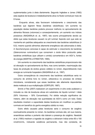 36
suplementados junto à dieta diariamente. Segundo Ingledew e Jones (1982)
esta espécie de levedura é metabolicamente ativa no fluido ruminal por mais de
6 horas.
Enquanto ativas, elas favorecem indiretamente o crescimento das
bactérias que digerem fibras (bactérias celulolíticas). Um aumento na
população destas bactérias poderia provocar melhoria no aproveitamento de
alimentos fibrosos (volumoso) e conseqüentemente, um aumento nos índices
produtivos (NAGARAJA et. al., 1997). Isto ocorre principalmente devido ao
efeito que estas leveduras causam no pH ruminal, fazendo com que este se
mantenha em padrões adequados ao crescimento das bactérias celulolíticas (≥
6,0), mesmo quando alimentos altamente energéticos são adicionados à dieta.
A Saccharomyces cerevisae é capaz de estimular o crescimento de bactérias
(Selenomonas ruminantium) que consomem o ácido lático produzido pelas
bactérias amilolíticas (que utilizam o amido) convertendo-o em AGV´s, fontes
de energia (MARTIN e STREETER, 1995).
Um aumento no crescimento das bactérias celulolíticas proporcionaria não
só elevação no aproveitamento da fibra, mas como também, maximização das
taxas de produção de ácidos graxos voláteis no rúmen, disponibilizando mais
energia ao ruminante hospedeiro (NAGARAJA et. al., 1997).
Outra conseqüência do crescimento das bactérias celulolíticas seria no
consumo de amônia livre no rúmen, utilizando-a no processo de síntese
microbiana, considerando que essas bactérias são altamente dependentes
desta molécula à sua multiplicação (GÜRTLER, 1987).
Smink e Fitie (2007) realizaram um experimento in-vitro onde avaliaram a
inclusão ou não de leveduras ativas em substratos de líquido ruminal + dieta
(50% Volumoso – 50% Concentrado). Foi obtida redução significativa do
metano, além de elevação nas quantidades de AGV’s como um todo. Estes
resultados mostram a capacidade destas leveduras em modificar os padrões
ruminais em benefício do ganho energético obtido no meio.
Outro efeito causado pelas leveduras seria o consumo de oxigênio
eventualmente presente no rúmen. As bactérias ruminais são, em sua maioria,
anaeróbicas estritas e portanto não toleram a presença de oxigênio. Newbold
et al. (1993) mediram a ingestão de oxigênio e obtiveram índice entre 60 e 100
nmol/min/mL, indicando existência permanente, mas não constante, de
 