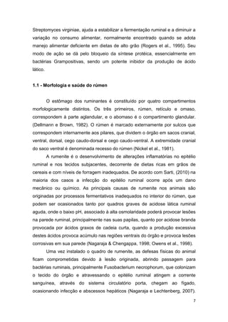7
Streptomyces virginiae, ajuda a estabilizar a fermentação ruminal e a diminuir a
variação no consumo alimentar, normalmente encontrado quando se adota
manejo alimentar deficiente em dietas de alto grão (Rogers et al., 1995). Seu
modo de ação se dá pelo bloqueio da síntese protéica, essencialmente em
bactérias Grampositivas, sendo um potente inibidor da produção de ácido
lático.
1.1 - Morfologia e saúde do rúmen
O estômago dos ruminantes é constituído por quatro compartimentos
morfologicamente distintos. Os três primeiros, rúmen, retículo e omaso,
correspondem à parte aglandular, e o abomaso é o compartimento glandular.
(Dellmann e Brown, 1982). O rúmen é marcado externamente por sulcos que
correspondem internamente aos pilares, que dividem o órgão em sacos cranial,
ventral, dorsal, cego caudo-dorsal e cego caudo-ventral. A extremidade cranial
do saco ventral é denominada recesso do rúmen (Nickel et al., 1981).
A rumenite é o desenvolvimento de alterações inflamatórias no epitélio
ruminal e nos tecidos subjacentes, decorrente de dietas ricas em grãos de
cereais e com níveis de forragem inadequados. De acordo com Sarti, (2010) na
maioria dos casos a infecção do epitélio ruminal ocorre após um dano
mecânico ou químico. As principais causas de rumenite nos animais são
originadas por processos fermentativos inadequados no interior do rúmen, que
podem ser ocasionados tanto por quadros graves de acidose lática ruminal
aguda, onde o baixo pH, associado à alta osmolaridade poderá provocar lesões
na parede ruminal, principalmente nas suas papilas, quanto por acidose branda
provocada por ácidos graxos de cadeia curta, quando a produção excessiva
destes ácidos provoca acúmulo nas regiões ventrais do órgão e provoca lesões
corrosivas em sua parede (Nagaraja & Chengappa, 1998; Owens et al., 1998).
Uma vez instalado o quadro de rumenite, as defesas físicas do animal
ficam comprometidas devido à lesão originada, abrindo passagem para
bactérias ruminais, principalmente Fusobacterium necrophorum, que colonizam
o tecido do órgão e atravessando o epitélio ruminal atingem a corrente
sanguínea, através do sistema circulatório porta, chegam ao fígado,
ocasionando infecção e abscessos hepáticos (Nagaraja e Lechtenberg, 2007).
 