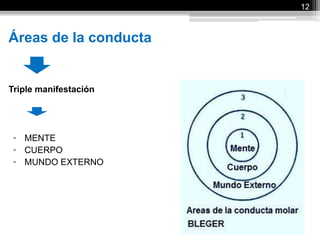 Áreas de la conducta
Triple manifestación
• MENTE
• CUERPO
• MUNDO EXTERNO
12
 