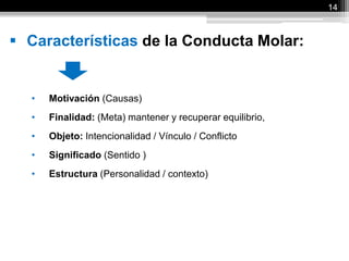  Características de la Conducta Molar:
• Motivación (Causas)
• Finalidad: (Meta) mantener y recuperar equilibrio,
• Objeto: Intencionalidad / Vínculo / Conflicto
• Significado (Sentido )
• Estructura (Personalidad / contexto)
14
 