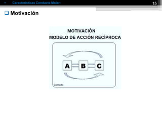  Características Conducta Molar:
 Motivación
15
 