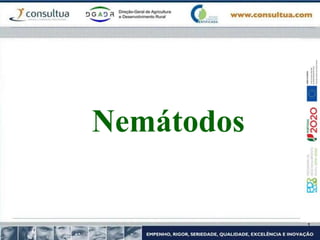 Nemátodos
 